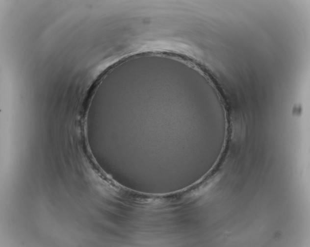 X0000090491497200707272329