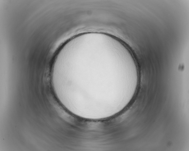 X0000090491498200707272329