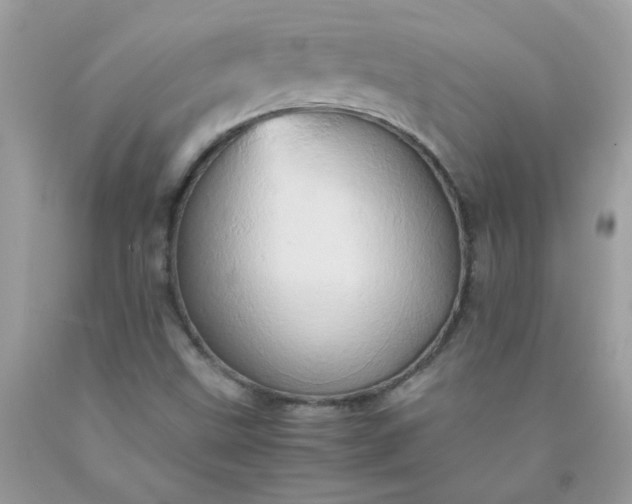X0000090491499200707272329