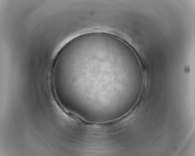 X0000090491500200707272329