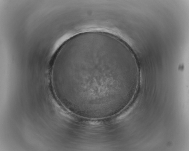 X0000090491501200707272329