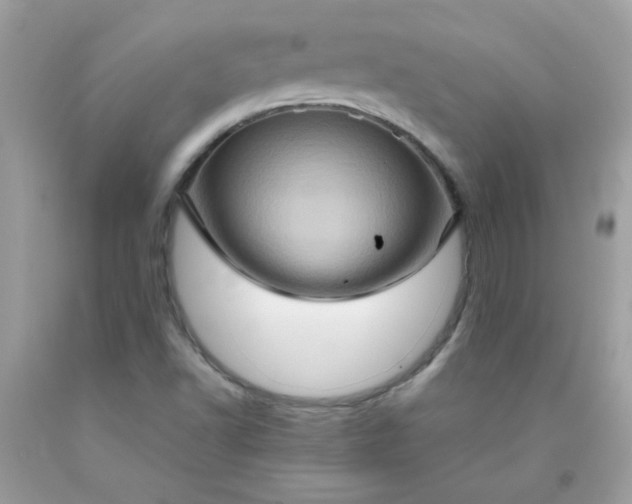X0000090491502200707272329
