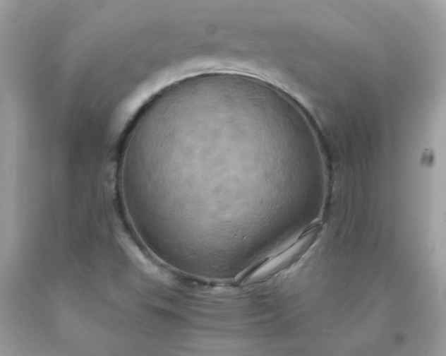 X0000090491503200707272329