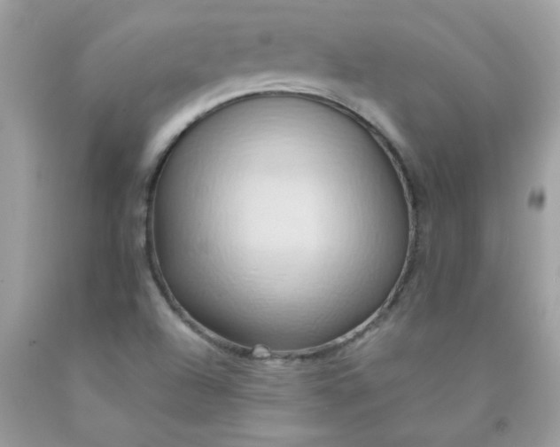 X0000090491504200707272329