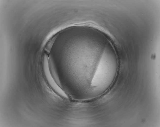 X0000090491506200707272329