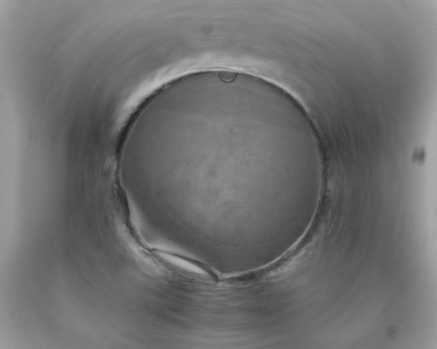 X0000090491507200707272329