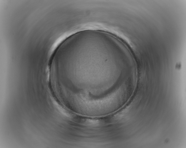 X0000090491509200707272329