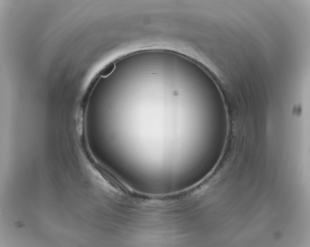 X0000090491510200707272329