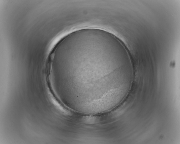 X0000090491511200707272329