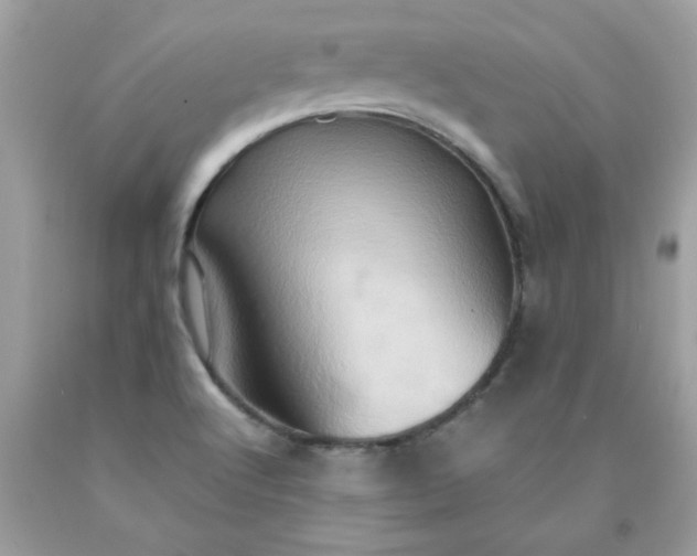 X0000090491512200707272329