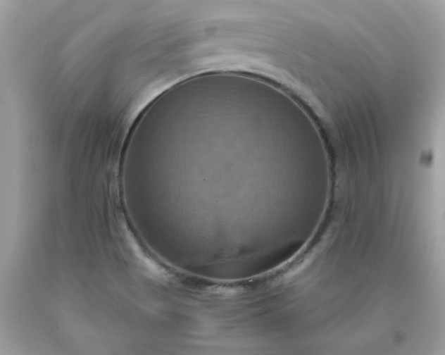 X0000090491513200707272329