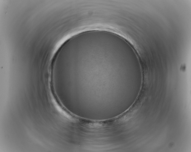 X0000090491515200707272329