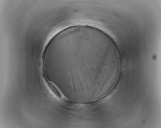 X0000090491517200707272329