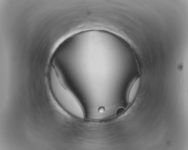X0000090491518200707272329