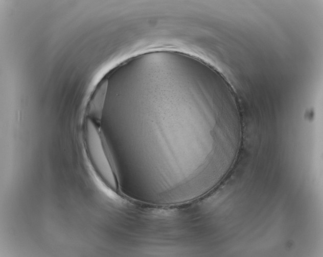 X0000090491519200707272329