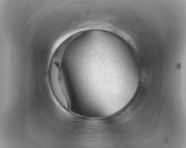 X0000090491520200707272329
