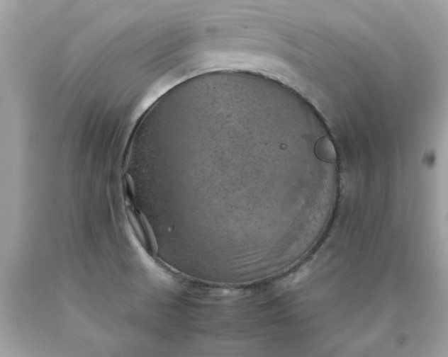 X0000090491521200707272329
