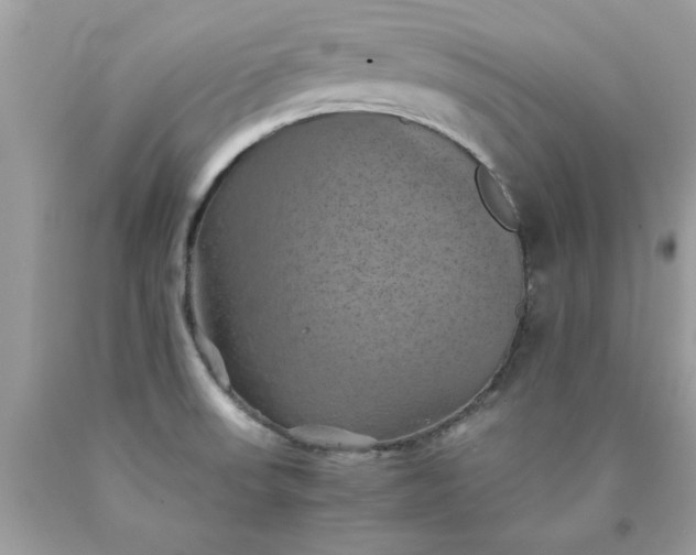 X0000090491523200707272329