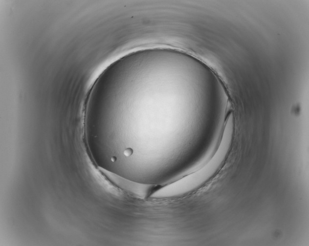 X0000090491524200707272329