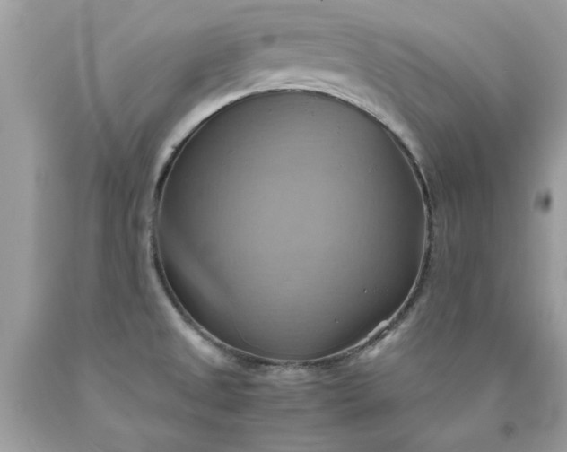 X0000090491525200707272329