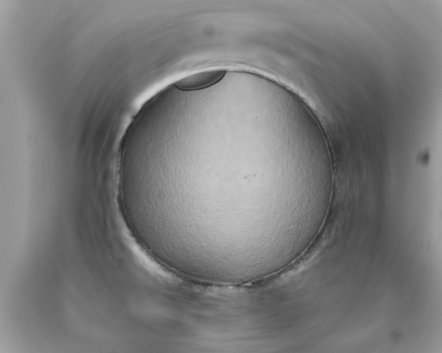 X0000090491526200707272329