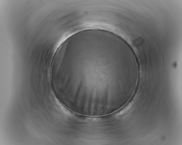 X0000090491529200707272330