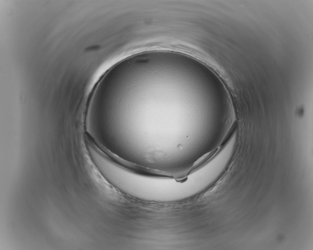 X0000090491530200707272330