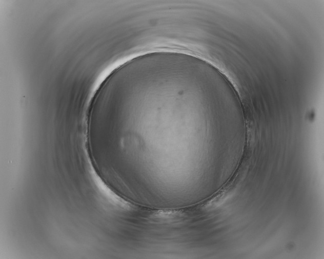 X0000090491531200707272330