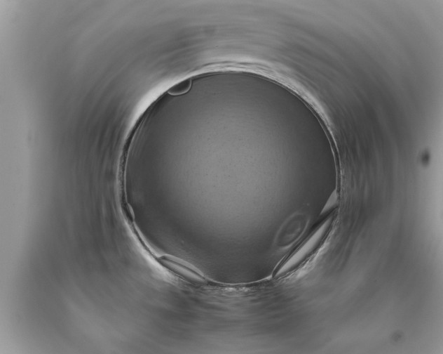 X0000090491533200707272330