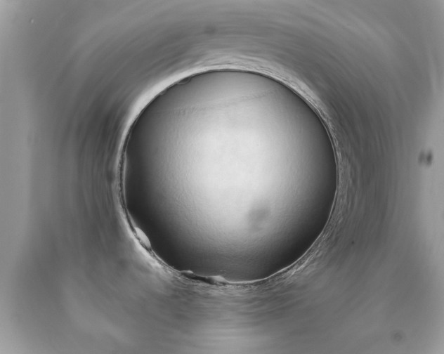 X0000090491536200707272330