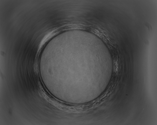 X0000090490004200708031156