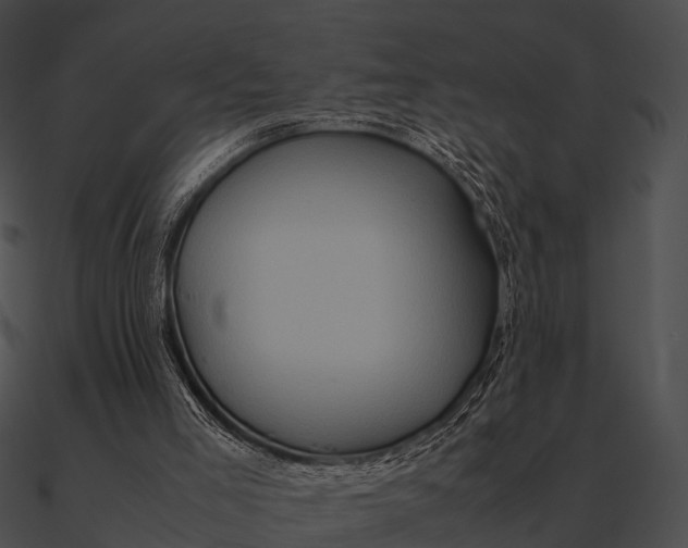 X0000090490005200708031156