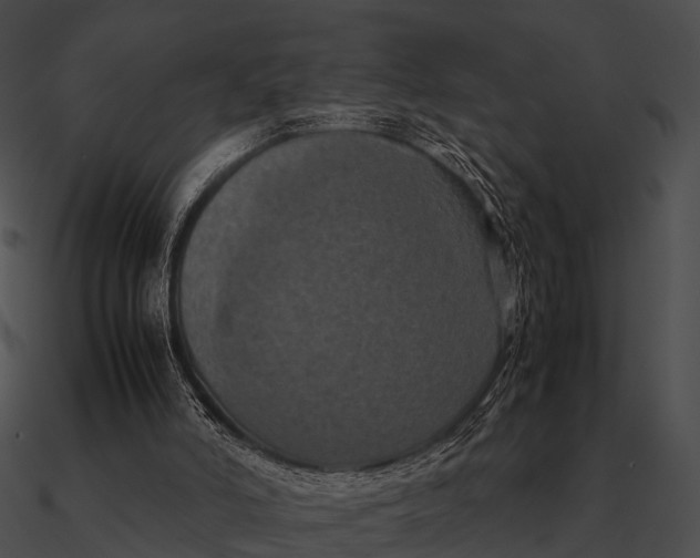 X0000090490006200708031156