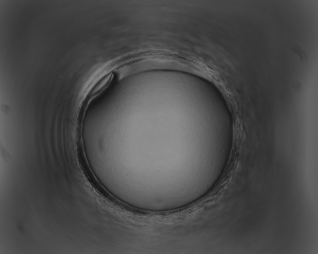 X0000090490007200708031156