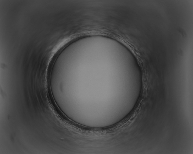 X0000090490008200708031156