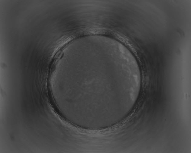 X0000090490010200708031156