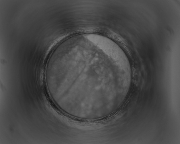 X0000090490012200708031156