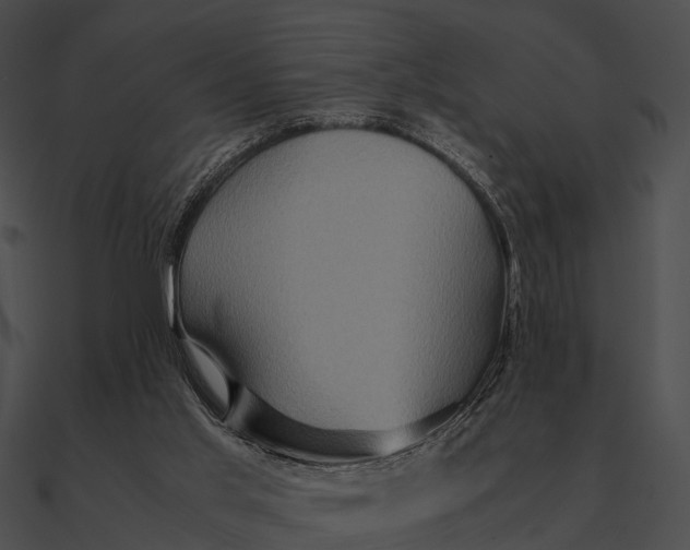 X0000090490013200708031156