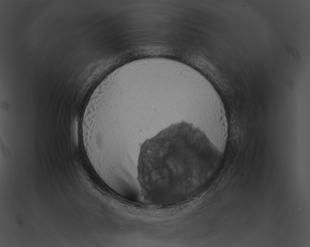 X0000090490014200708031156