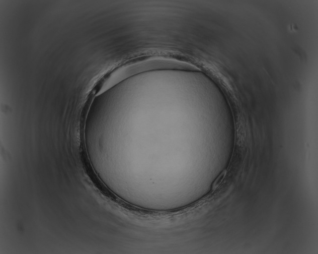 X0000090490015200708031156