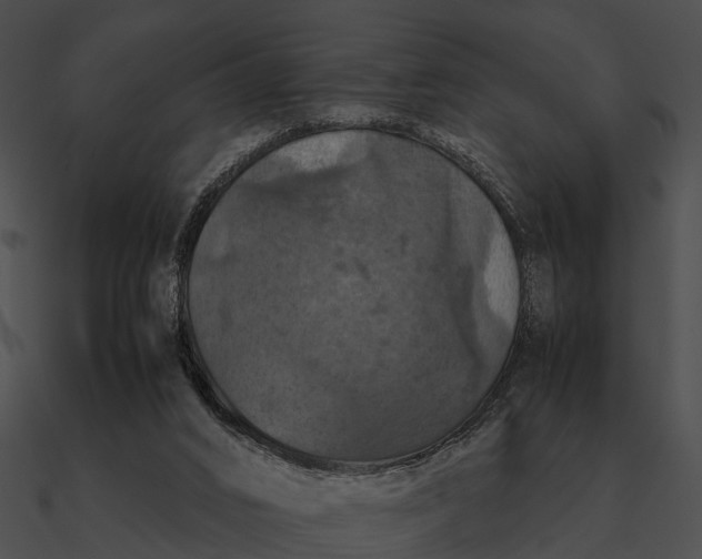 X0000090490016200708031156