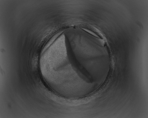 X0000090490018200708031156