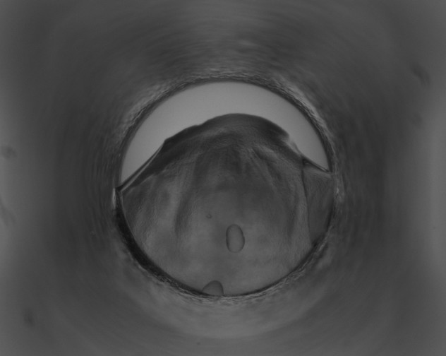 X0000090490019200708031156