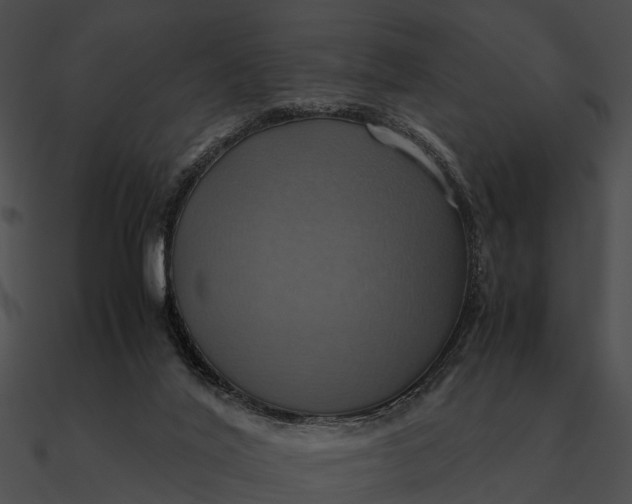 X0000090490020200708031156