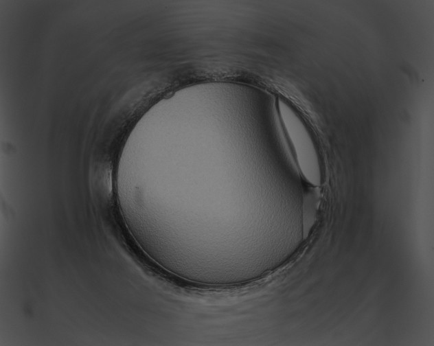 X0000090490021200708031156