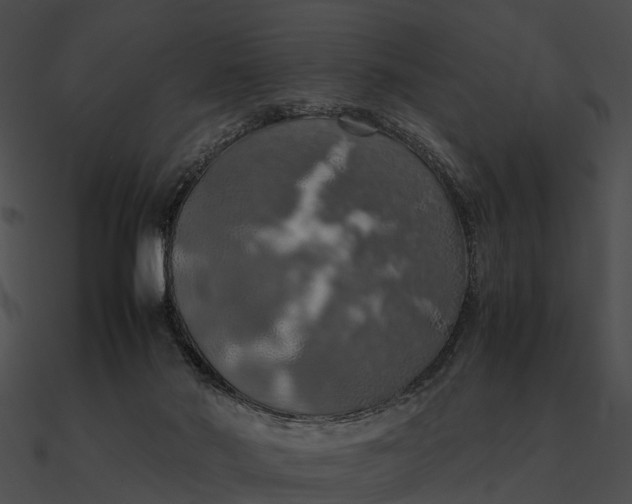 X0000090490022200708031156