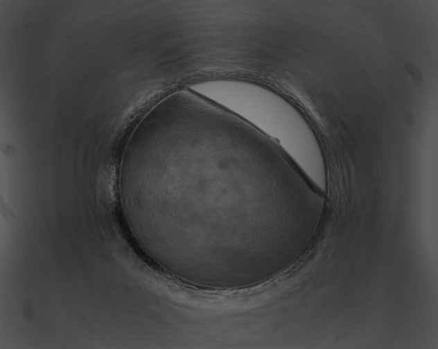 X0000090490023200708031156