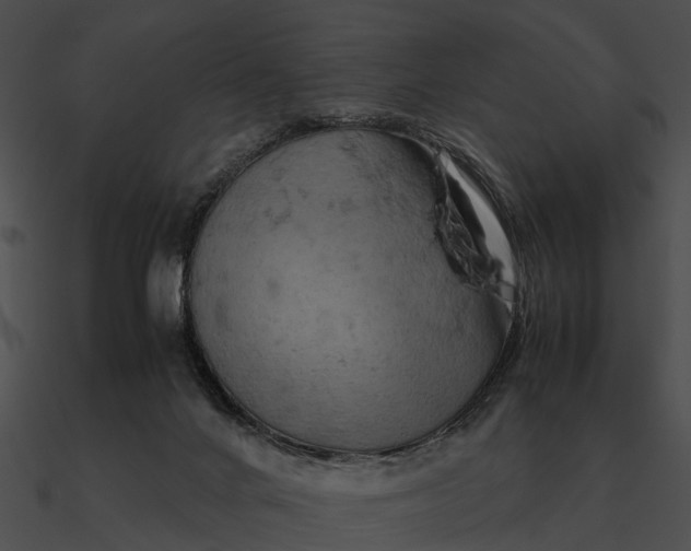 X0000090490024200708031156