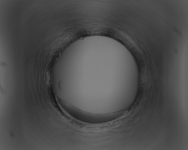 X0000090490025200708031156