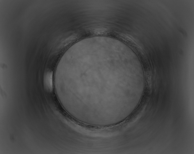 X0000090490028200708031156